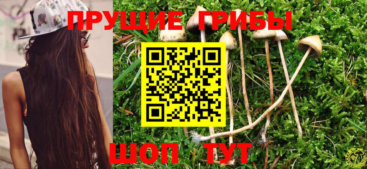 Псилоцибиновые грибы MAGIC MUSHROOMS  Галлюциногенные грибы ЛСД  Грозный  Вход с VPN 